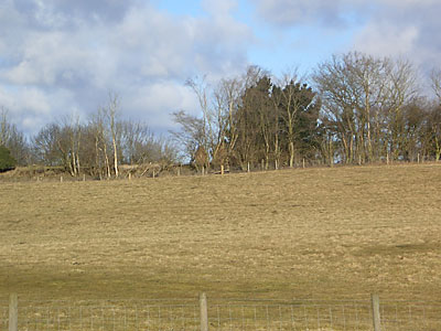 Mill site 13th February 2009 