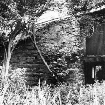 Feltwell tower mill 25Aug198