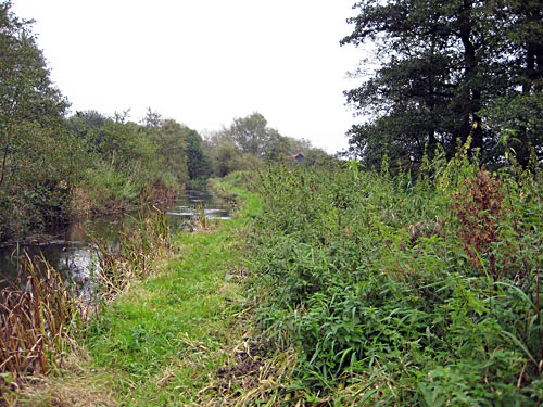 Looking Towards the Mill