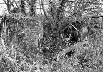 Dilham wheel pit 11Dec1977