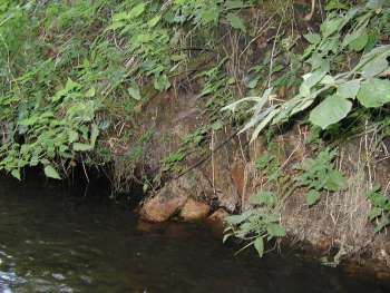 More old brickwork on the nearside bank