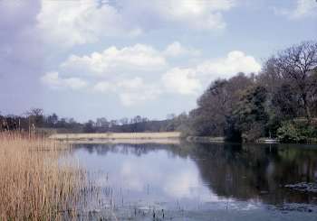 Mill dam May 1967