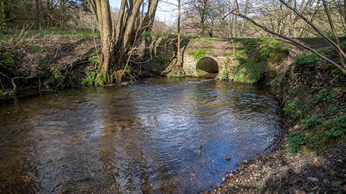 Mill remains - 21st March 2020