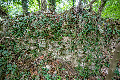 Mill Cottage south wall remains - 24th July 2020