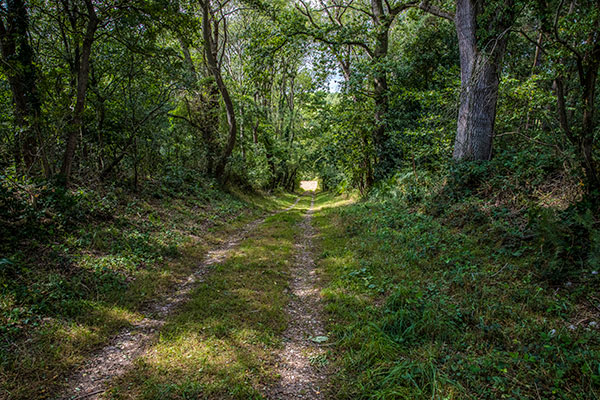 Mill House Lane