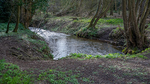 Mill race - 21st March 2020