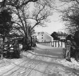 From the west in the snow of 1964