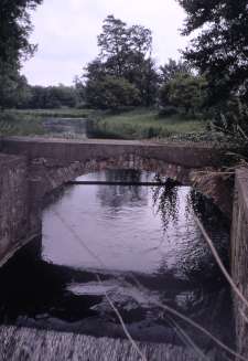 Headrace June 1968