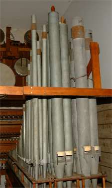 Part of the organ