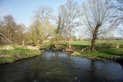 Mill pool 21st April 2008 